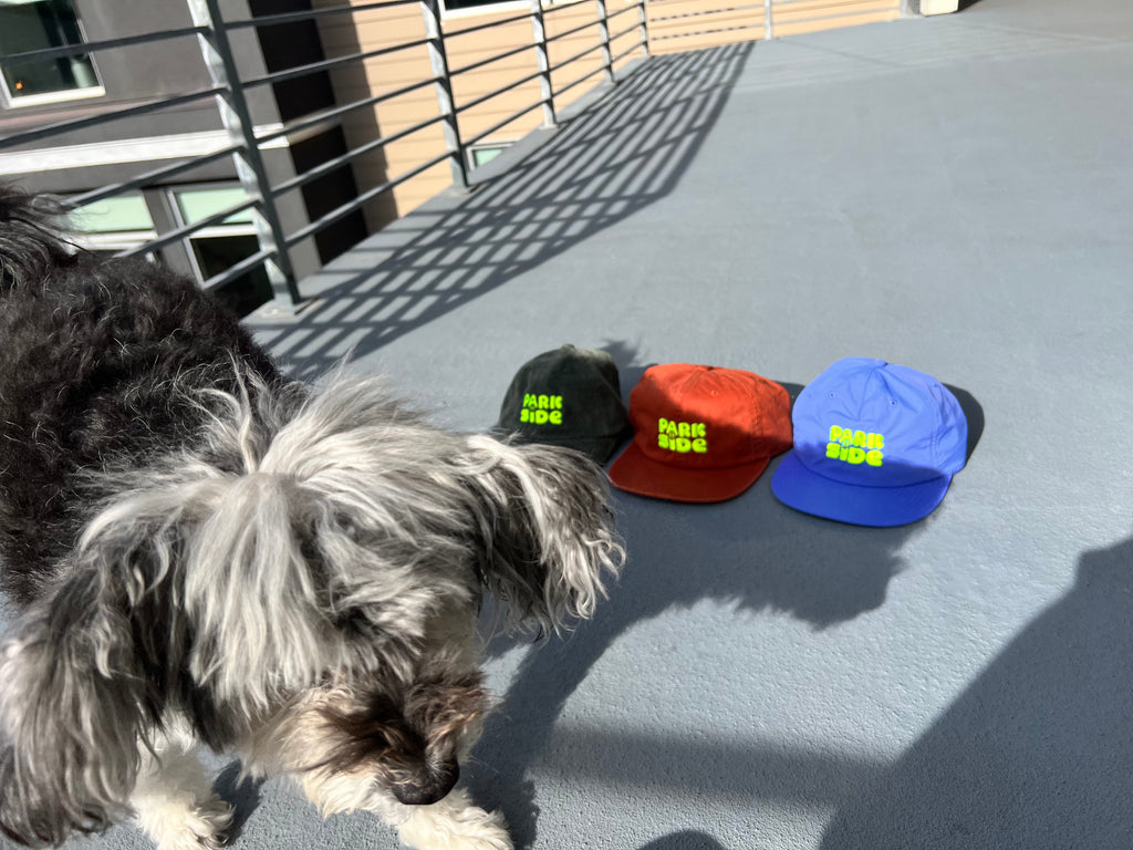 Founding Supporter Cap