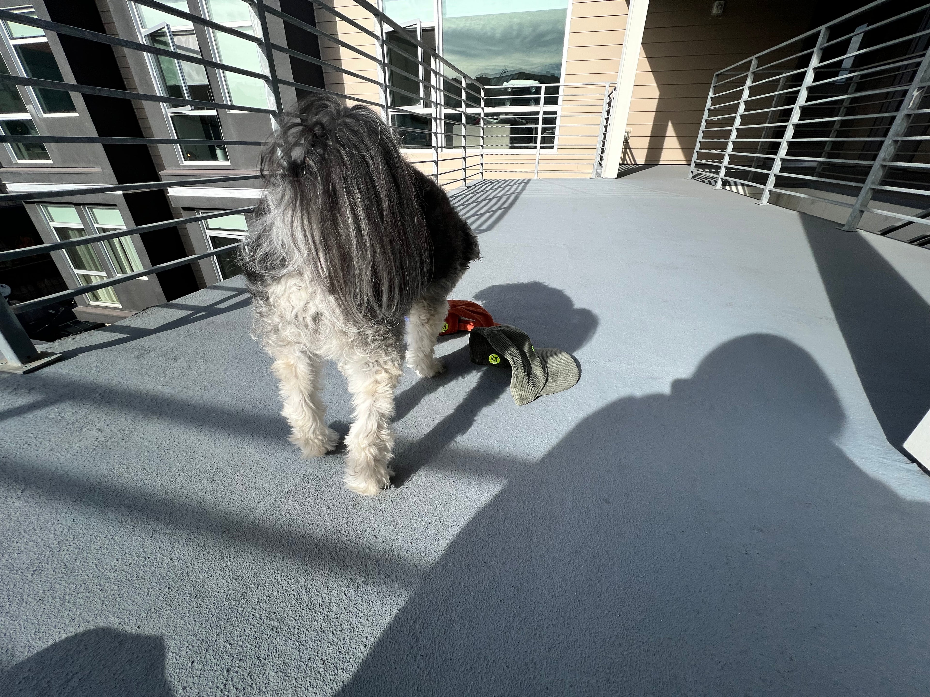 Founding Supporter Cap